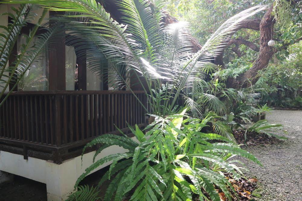 Blue Bayou Hotel